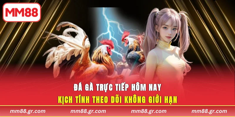 Đá Gà Trực Tiếp Hôm Nay MM88