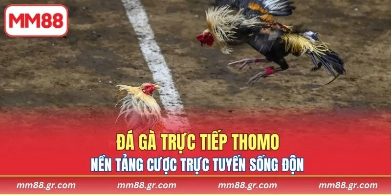 Khám phá nền tảng cược trực tuyến sống động và chuyên nghiệp